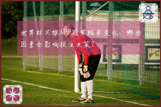 世界杯买球APP冠军赔率变化，哪些因素会影响投注决策？