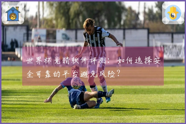 世界杯竞猜软件评测：如何选择安全可靠的平台避免风险？